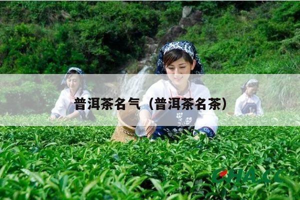 普洱茶名气（普洱茶名茶）