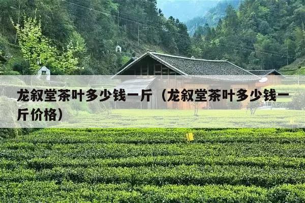 龙叙堂茶叶多少钱一斤（龙叙堂茶叶多少钱一斤价格）