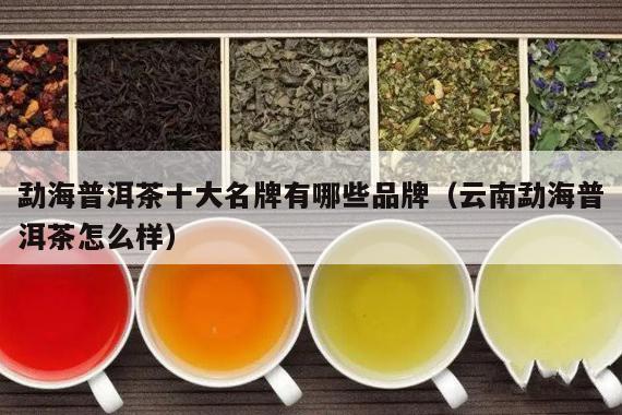 勐海普洱茶十大名牌有哪些品牌（云南勐海普洱茶怎么样）