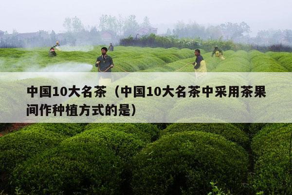 中国10大名茶（中国10大名茶中采用茶果间作种植方式的是）