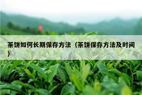 茶饼如何长期保存方法（茶饼保存方法及时间）