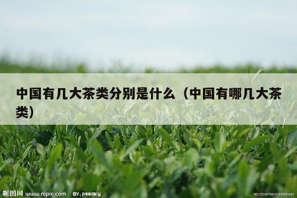 中国有几大茶类分别是什么（中国有哪几大茶类）