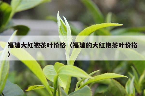 福建大红袍茶叶价格（福建的大红袍茶叶价格）