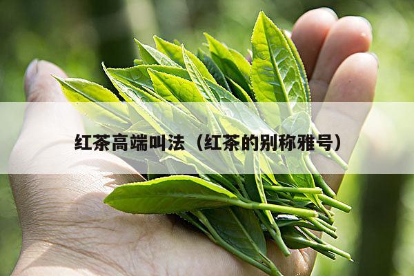 红茶高端叫法（红茶的别称雅号）