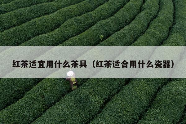 红茶适宜用什么茶具（红茶适合用什么瓷器）