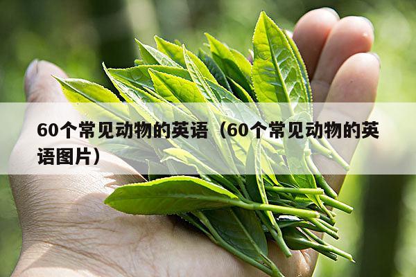 60个常见动物的英语（60个常见动物的英语图片）