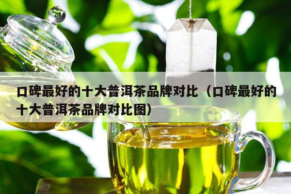 口碑最好的十大普洱茶品牌对比（口碑最好的十大普洱茶品牌对比图）