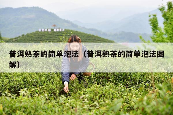 普洱熟茶的简单泡法（普洱熟茶的简单泡法图解）