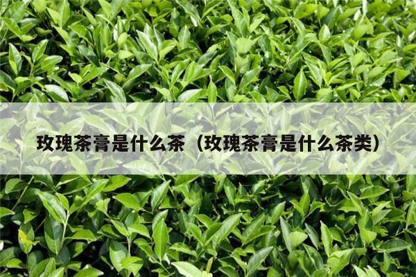 玫瑰茶膏是什么茶（玫瑰茶膏是什么茶类）