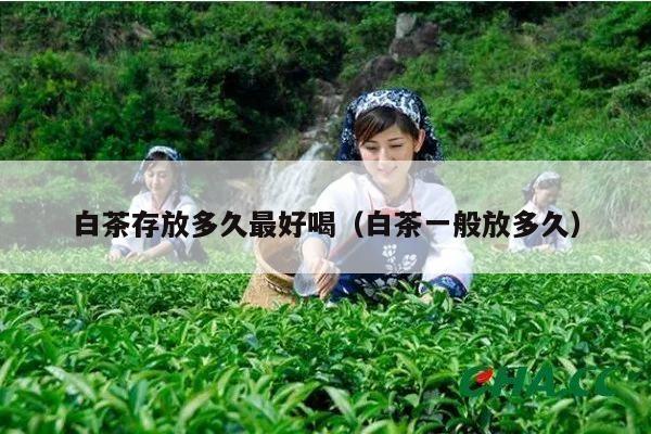 白茶存放多久最好喝（白茶一般放多久）