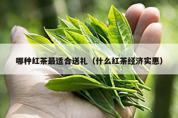 哪种红茶最适合送礼（什么红茶经济实惠）