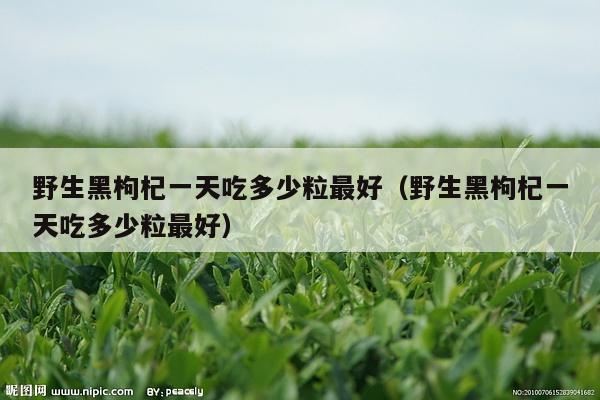 野生黑枸杞一天吃多少粒最好（野生黑枸杞一天吃多少粒最好）