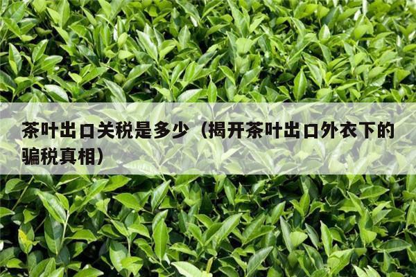 茶叶出口关税是多少（揭开茶叶出口外衣下的骗税真相）