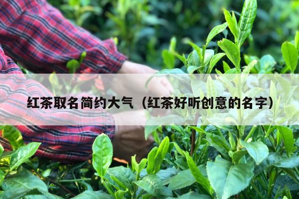 红茶取名简约大气（红茶好听创意的名字）