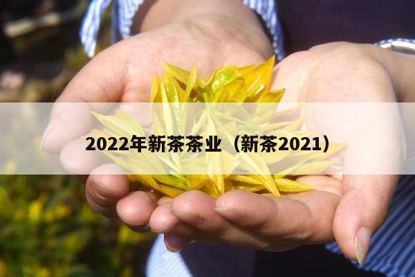 2022年新茶茶业（新茶2021）