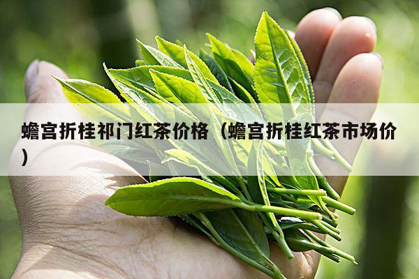 蟾宫折桂祁门红茶价格（蟾宫折桂红茶市场价）