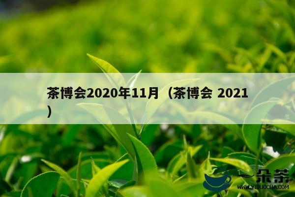 茶博会2020年11月（茶博会 2021）