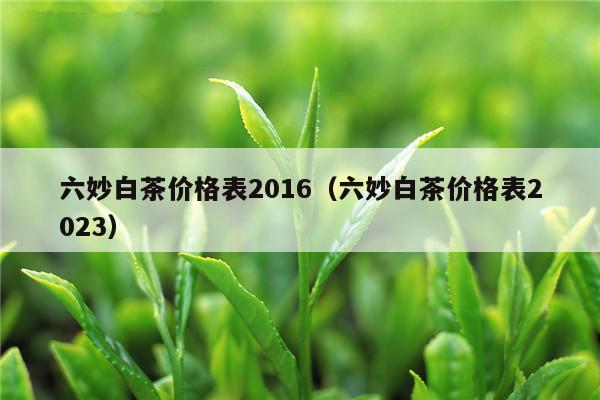 六妙白茶价格表2016（六妙白茶价格表2023）