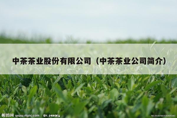 中茶茶业股份有限公司（中茶茶业公司简介）