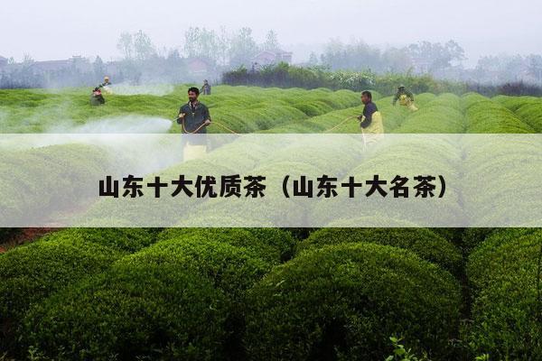 山东十大优质茶（山东十大名茶）