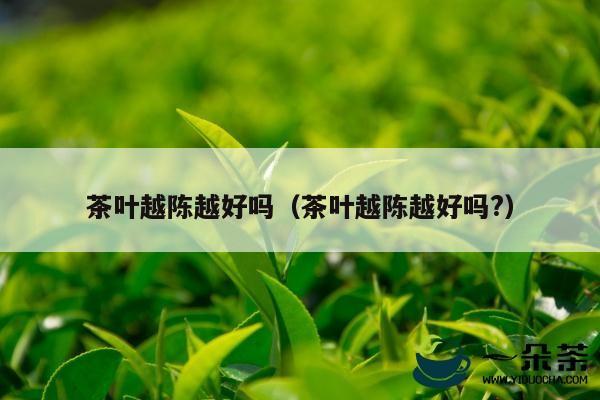 茶叶越陈越好吗（茶叶越陈越好吗?）