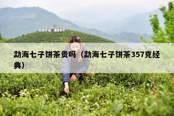 勐海七子饼茶贵吗（勐海七子饼茶357克经典）