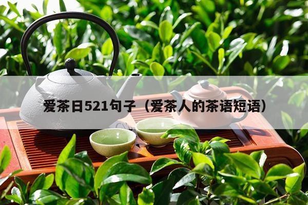 爱茶日521句子（爱茶人的茶语短语）