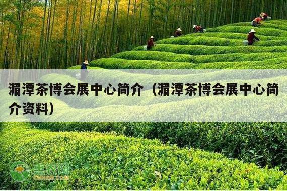 湄潭茶博会展中心简介（湄潭茶博会展中心简介资料）