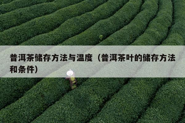 普洱茶储存方法与温度（普洱茶叶的储存方法和条件）