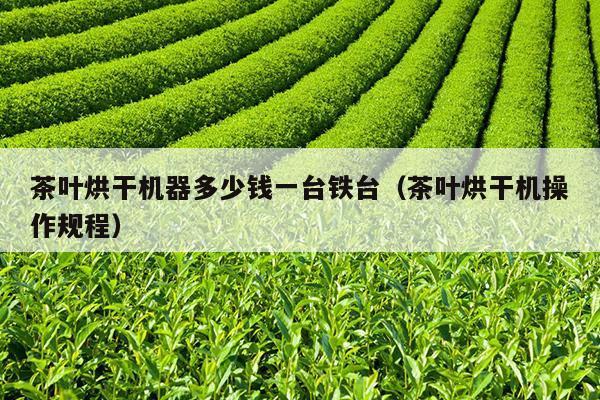 茶叶烘干机器多少钱一台铁台（茶叶烘干机操作规程）