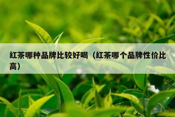 红茶哪种品牌比较好喝（红茶哪个品牌性价比高）