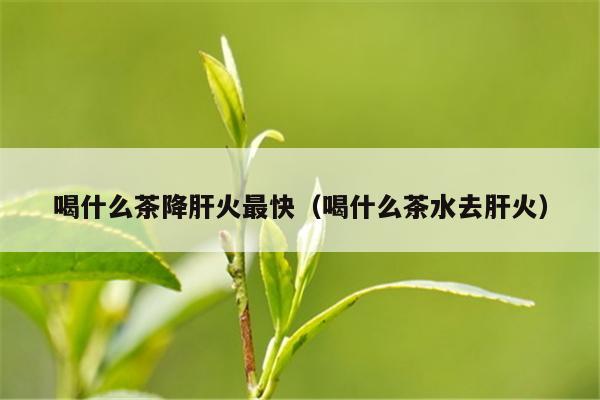 喝什么茶降肝火最快（喝什么茶水去肝火）