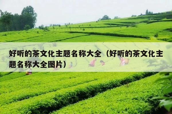 好听的茶文化主题名称大全（好听的茶文化主题名称大全图片）