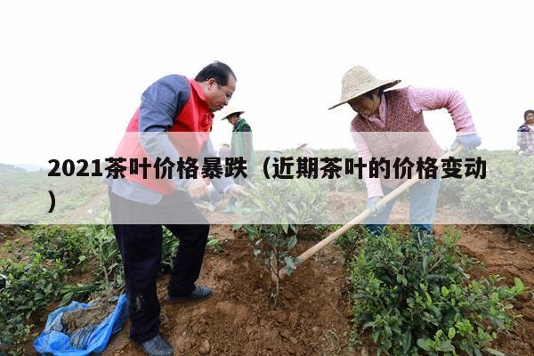 2021茶叶价格暴跌（近期茶叶的价格变动）