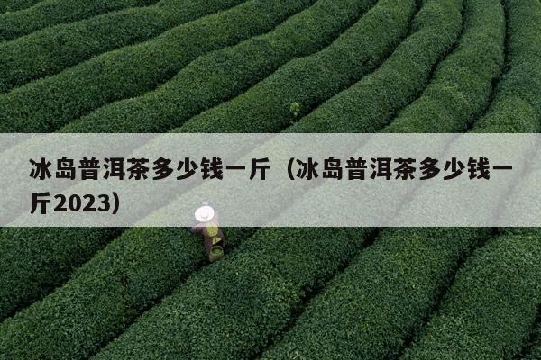 冰岛普洱茶多少钱一斤（冰岛普洱茶多少钱一斤2023）