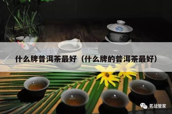 什么牌普洱茶最好（什么牌的普洱茶最好）