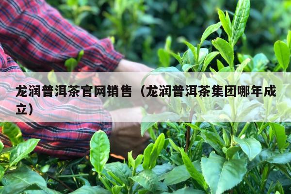 龙润普洱茶官网销售（龙润普洱茶集团哪年成立）