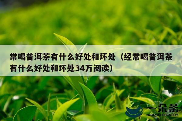 常喝普洱茶有什么好处和坏处（经常喝普洱茶有什么好处和坏处34万阅读）