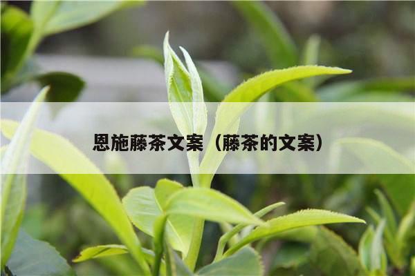 恩施藤茶文案（藤茶的文案）