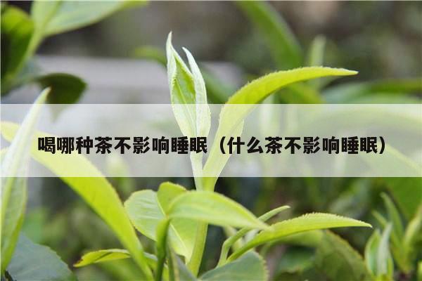 喝哪种茶不影响睡眠（什么茶不影响睡眠）