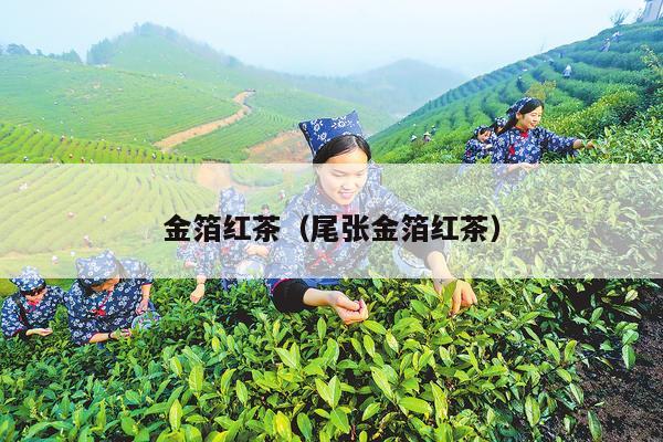 金箔红茶（尾张金箔红茶）