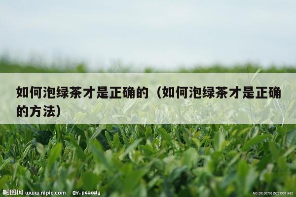 如何泡绿茶才是正确的（如何泡绿茶才是正确的方法）