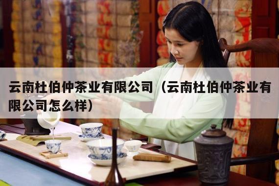 云南杜伯仲茶业有限公司（云南杜伯仲茶业有限公司怎么样）