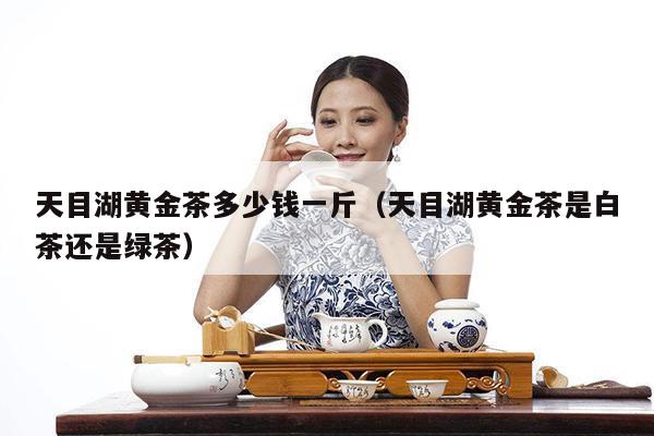 天目湖黄金茶多少钱一斤（天目湖黄金茶是白茶还是绿茶）