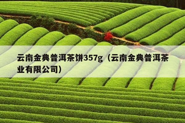 云南金典普洱茶饼357g（云南金典普洱茶业有限公司）