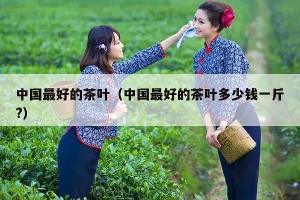 中国最好的茶叶（中国最好的茶叶多少钱一斤?）