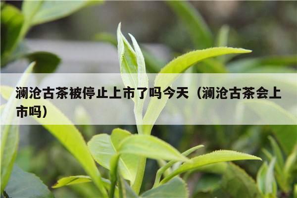 澜沧古茶被停止上市了吗今天（澜沧古茶会上市吗）