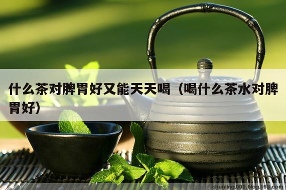 什么茶对脾胃好又能天天喝（喝什么茶水对脾胃好）