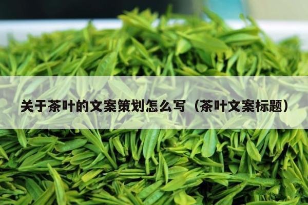 关于茶叶的文案策划怎么写（茶叶文案标题）