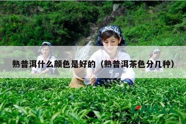 熟普洱什么颜色是好的（熟普洱茶色分几种）